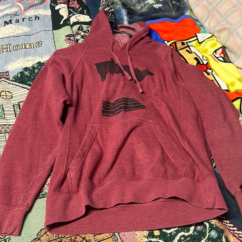 MINNESOTA HOODIE